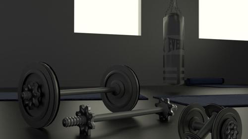 Simple Gym set -cycles preview image